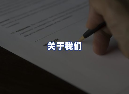 专业团队